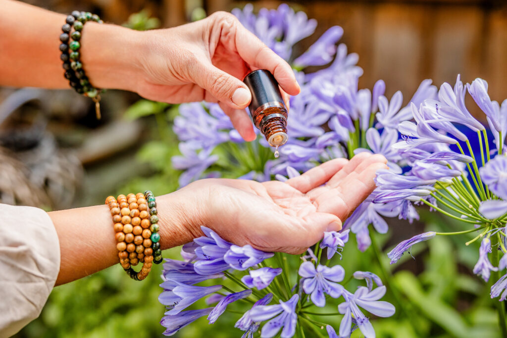 Nahaufnahme: Tropfen ätherischen Öls in die Hand, neben lilafarbenen Blüten – Aroma Oil Balance.